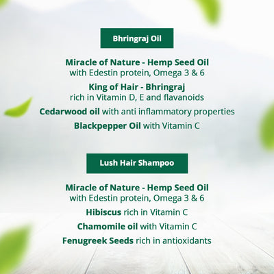 Hampa Hemp Bhringraj Hair Oil 100ml + Hampa Hemp Lush Hair Shampoo 200ml