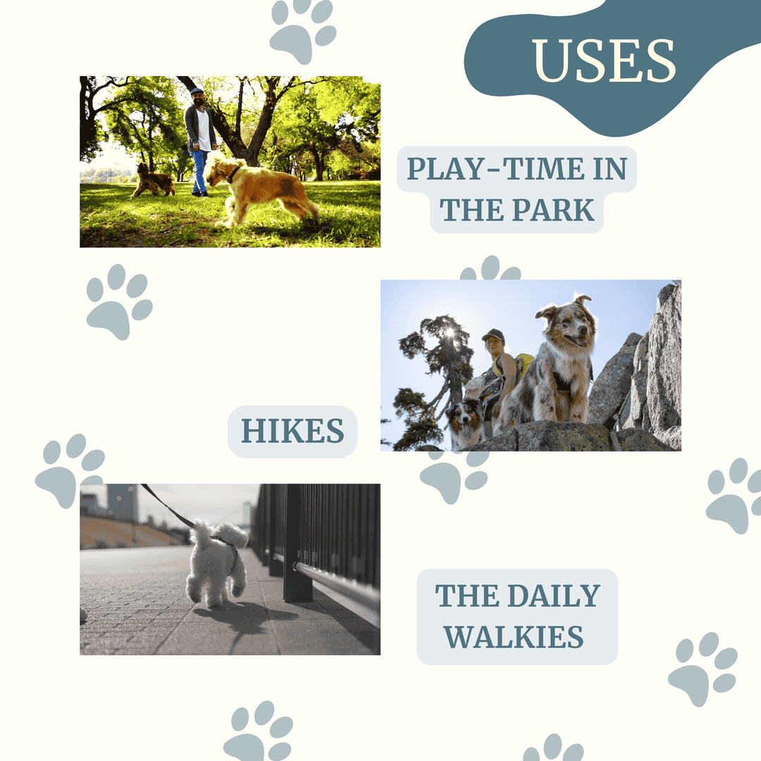 Irida Naturals Biodegradable Pet Poop Bags with Wheat Straw Dispenser - 120 Bags