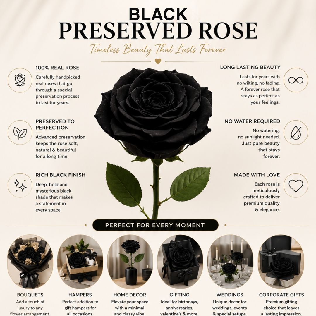 Midnight Noir Preserved Black Rose | Real Black Rose for Décor & Gifting