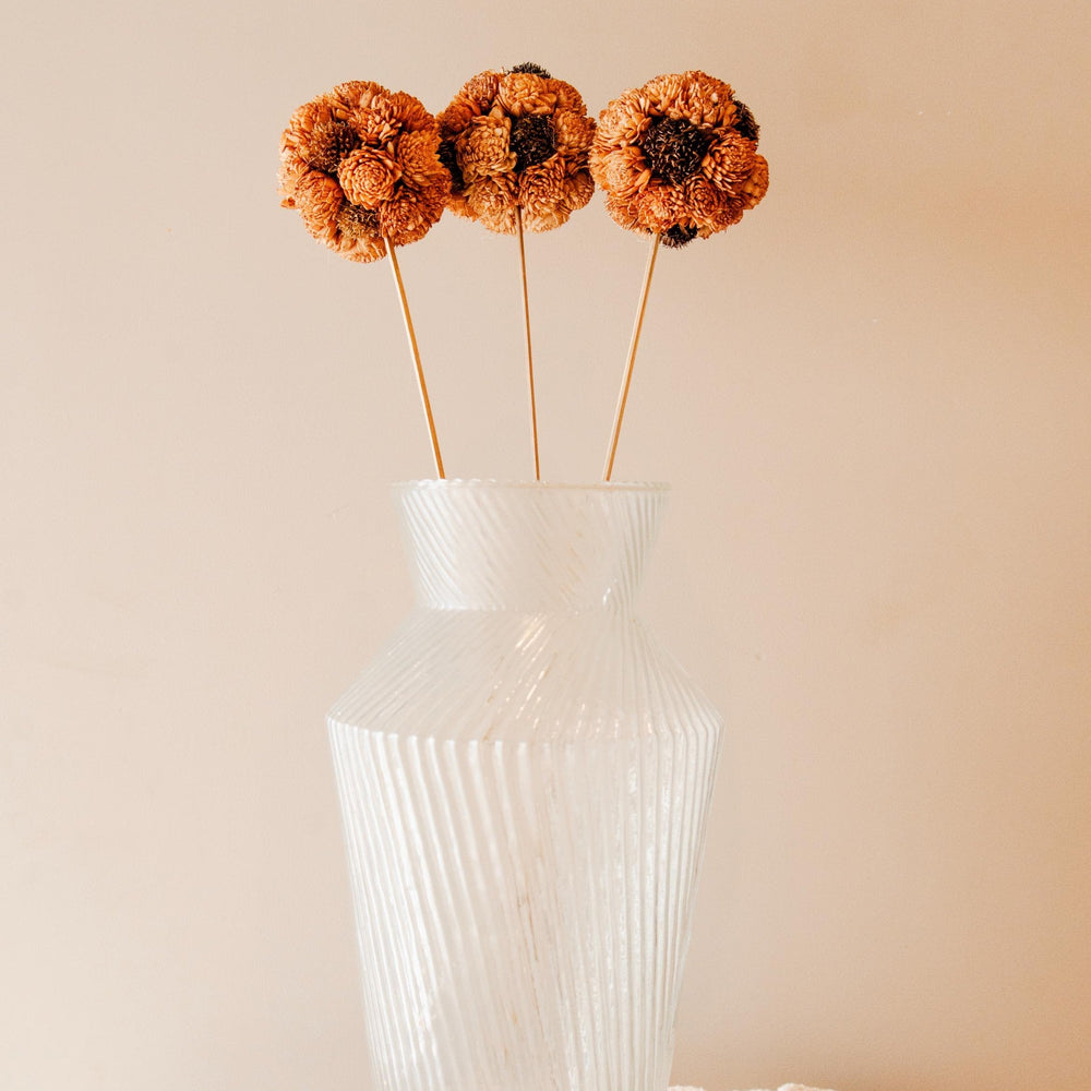 Artecasa Brown Sola Atta Flower Ball Sticks – Handmade Dried Flower Decor (Set of 3)