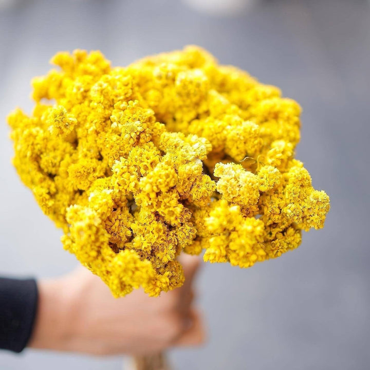Yellow daisies bunch - https://artecasa.in/