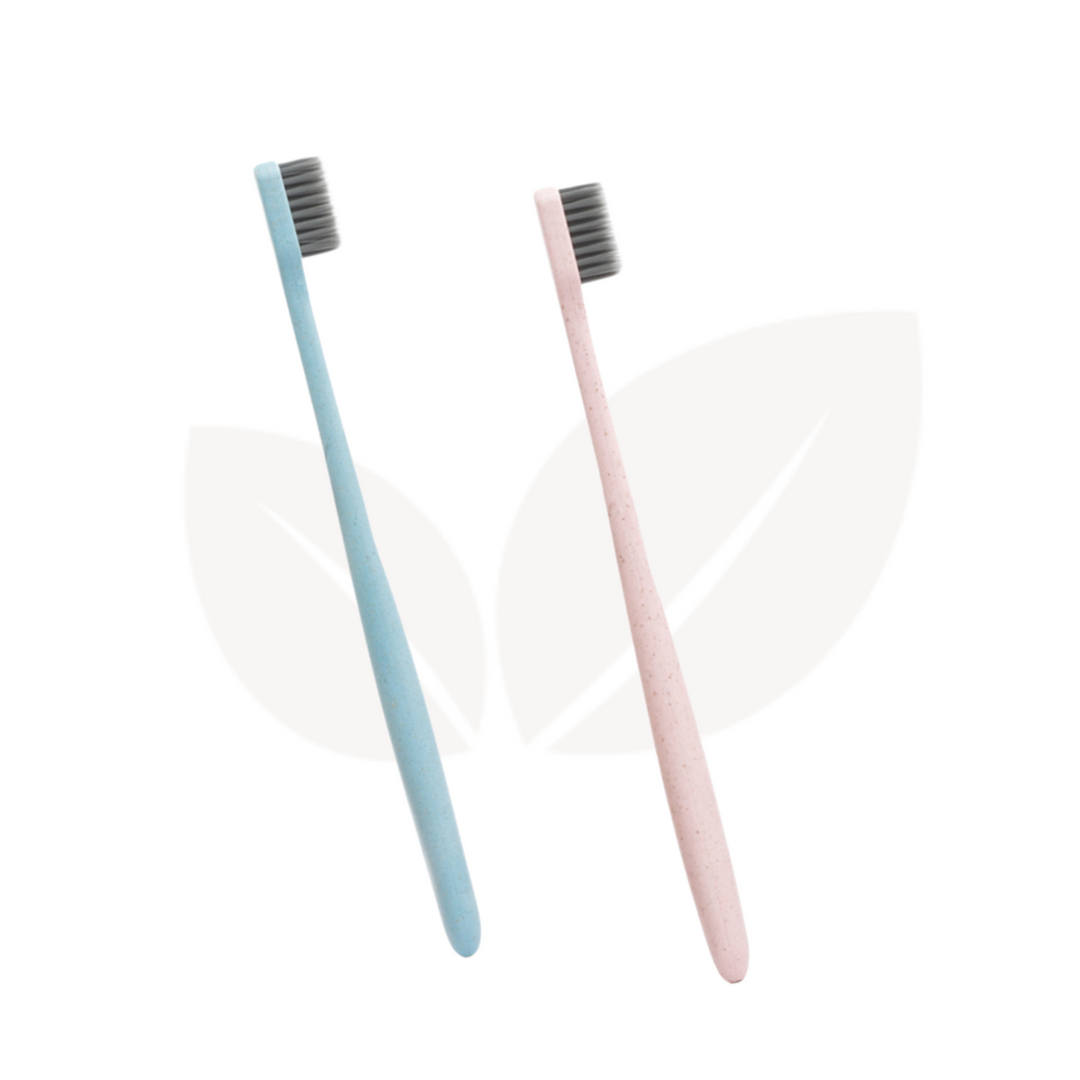 Climasoul Wheat Straw Toothbrush - Pack of 2