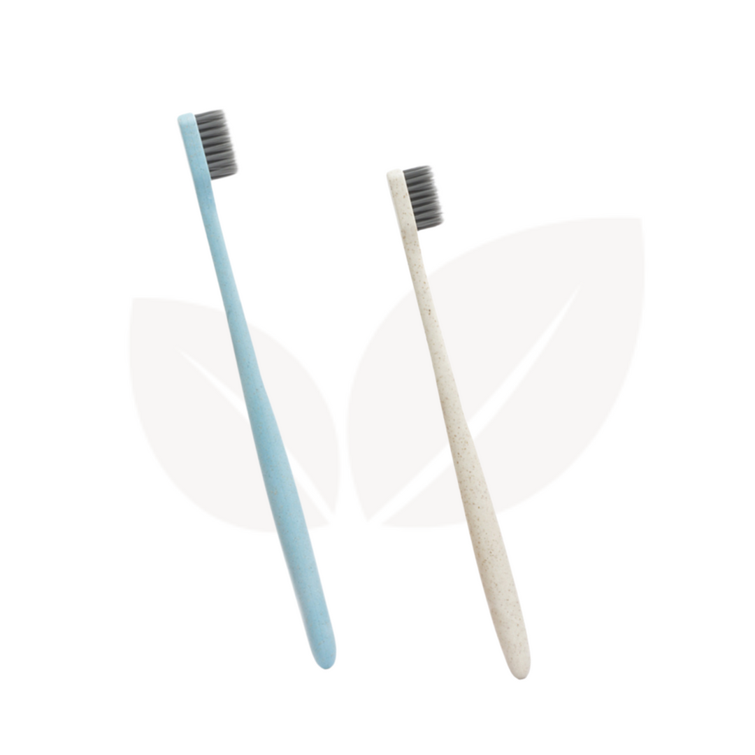 Climasoul Wheat Straw Toothbrush - Pack of 2