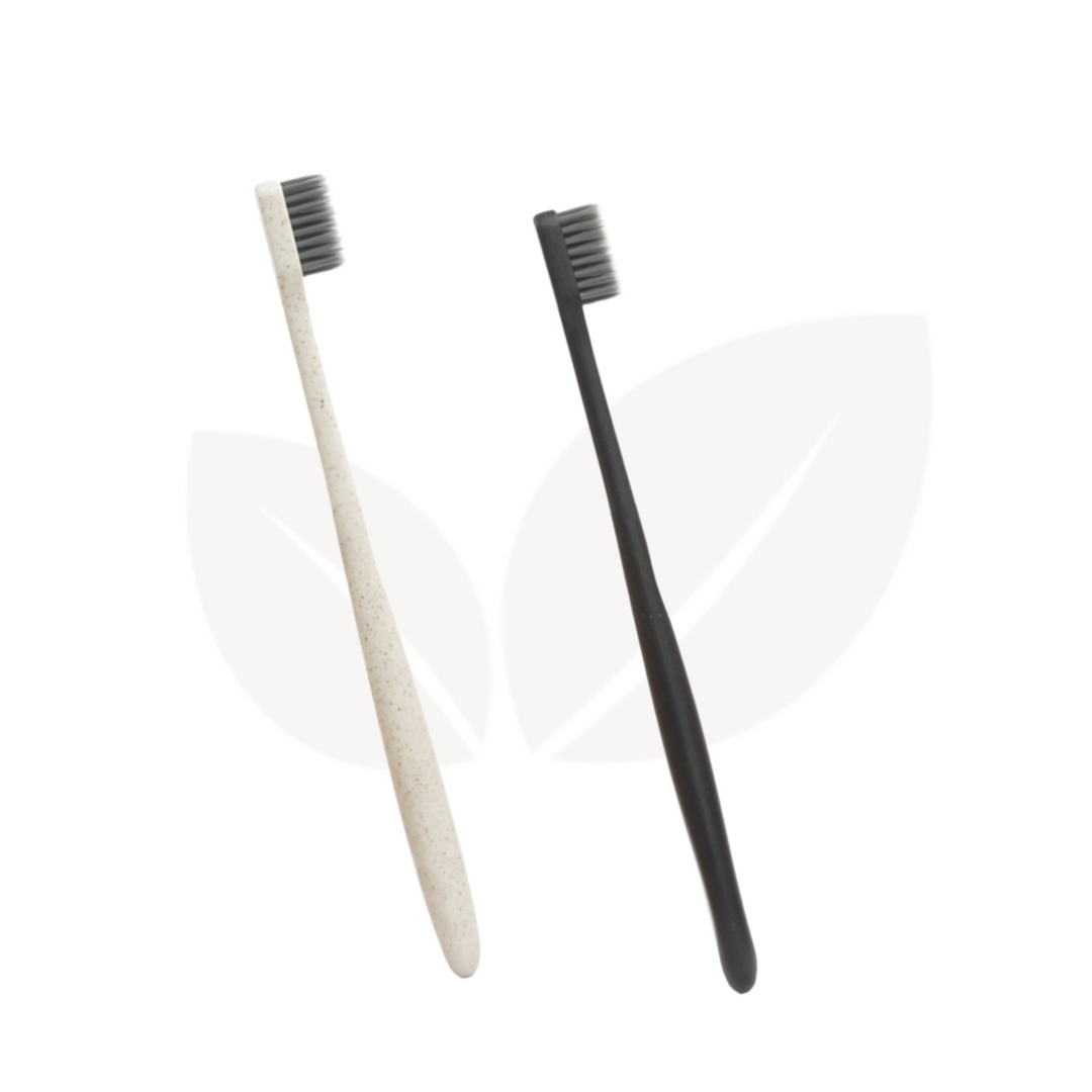 Climasoul Wheat Straw Toothbrush - Pack of 2