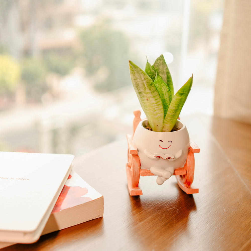 Seat of Stories Ceramic Planter | Aesthetic Mini Plant Pot for Home Decor – ArteCasa
