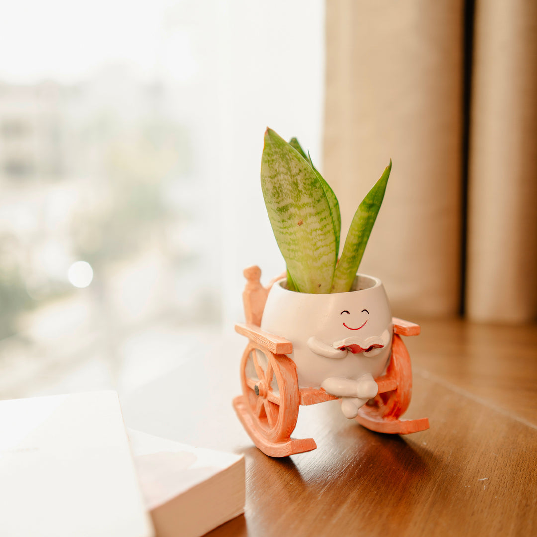Seat of Stories planter