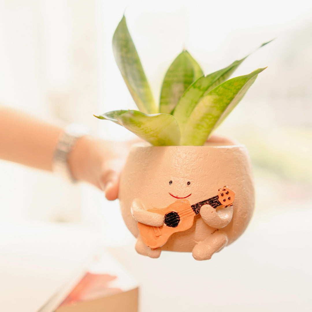 The Jazzy Planter - https://artecasa.in/