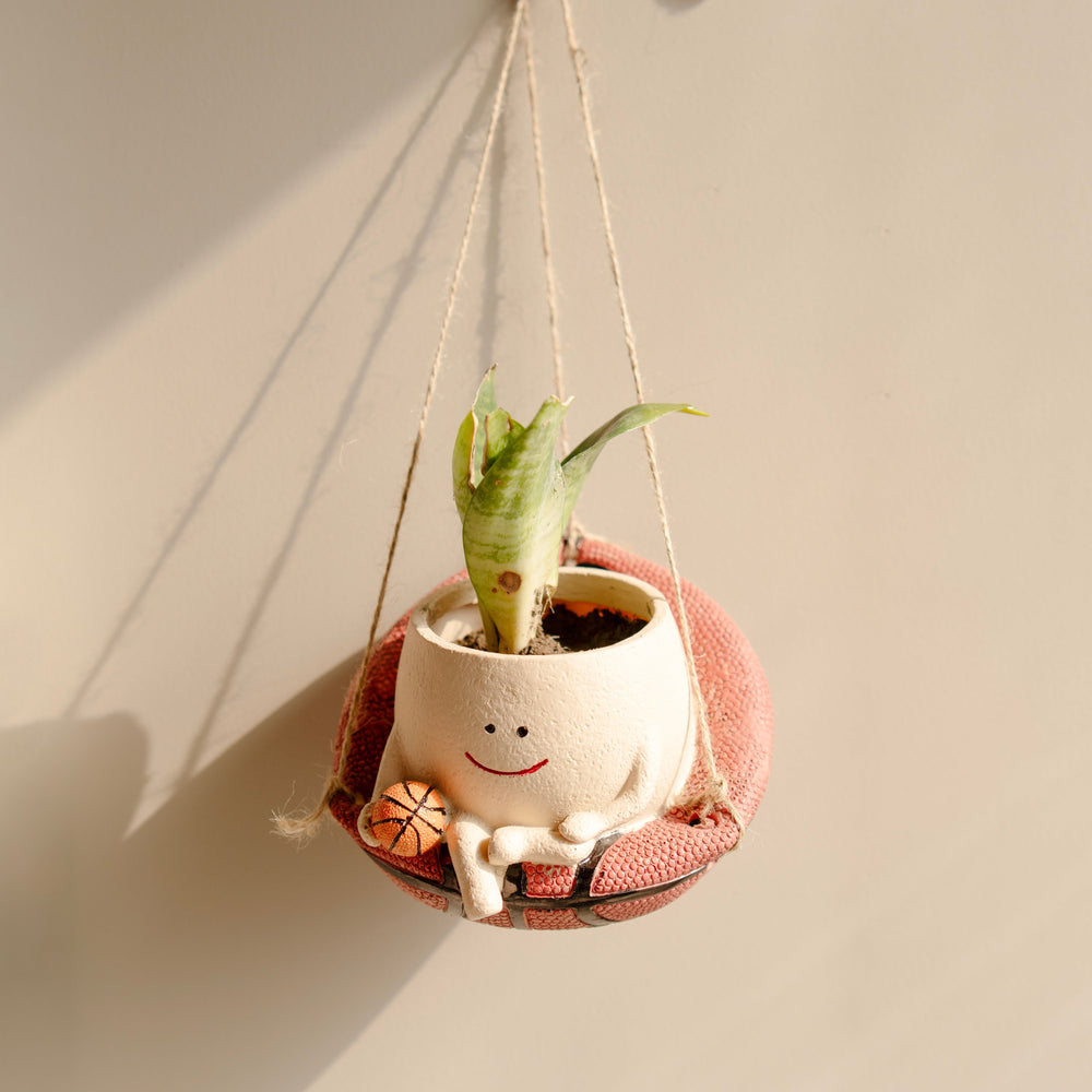 Bouncy Bloom Basket Resin Planter