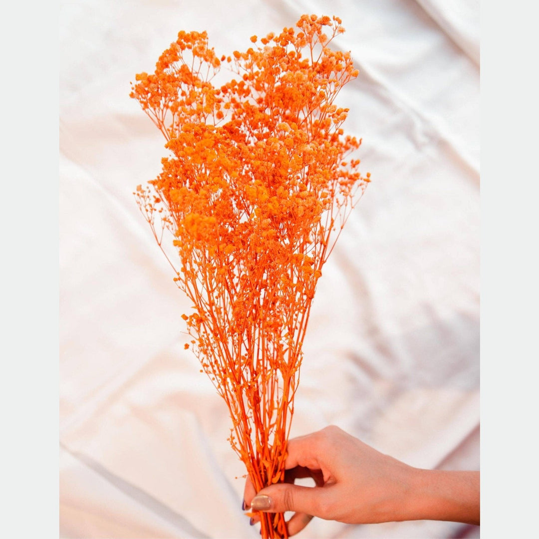Orange baby breaths - https://artecasa.in/