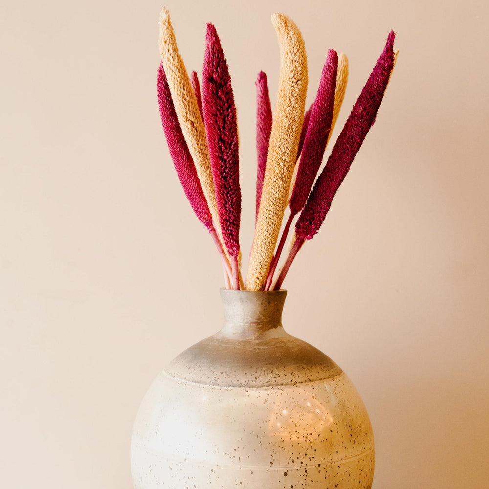Bazra Mini Dual Shade Dried Sticks | Yellow Pink Vase Decor