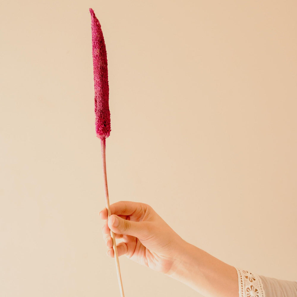 Dried Bazar Sticks Pink | Aesthetic Rustic Decorative Stems for Home Decor – ArteCasa