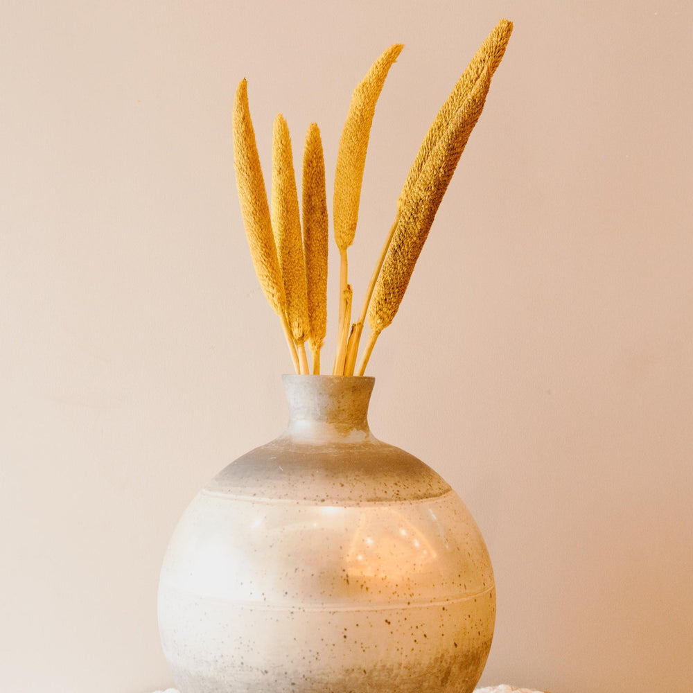 Dried Bazar Sticks Yellow | Rustic Natural Decorative Stems for Aesthetic Home Decor – ArteCasa