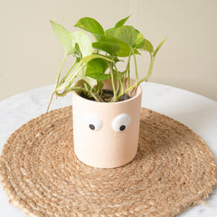 Face of Green Planter | Sculpted Ceramic Face Pot