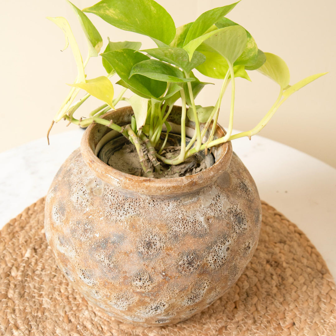 Heritage Planter - https://artecasa.in/