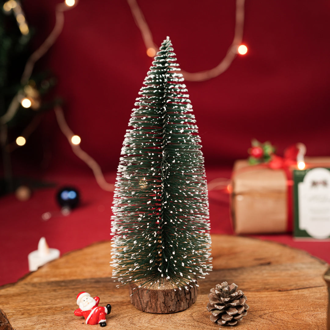 Mini Pine tree