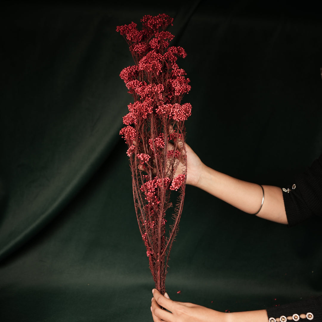 Rice Flower- Red