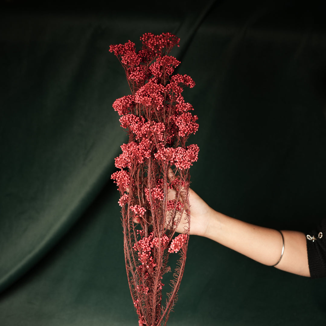 Rice Flower- Red