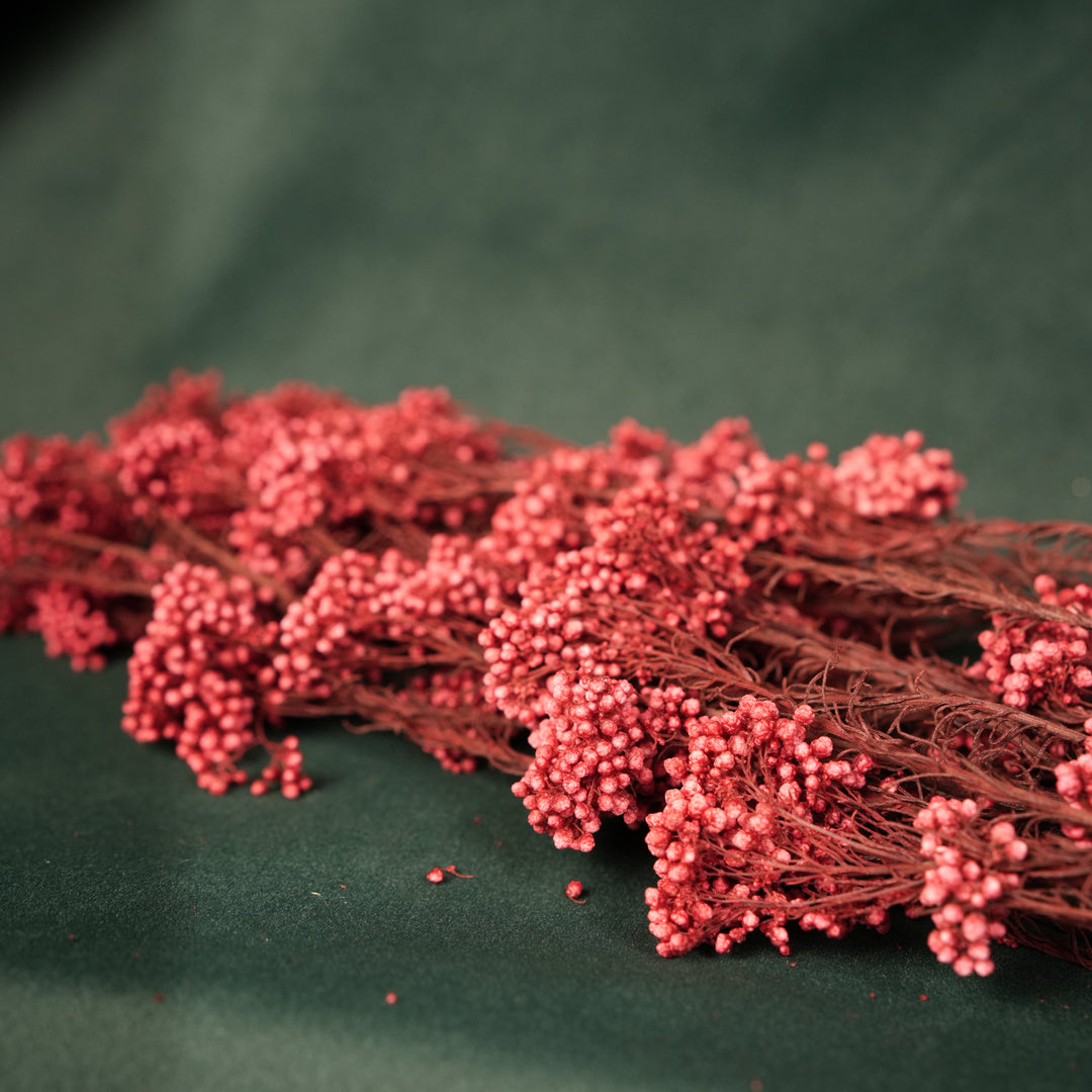Rice Flower- Red