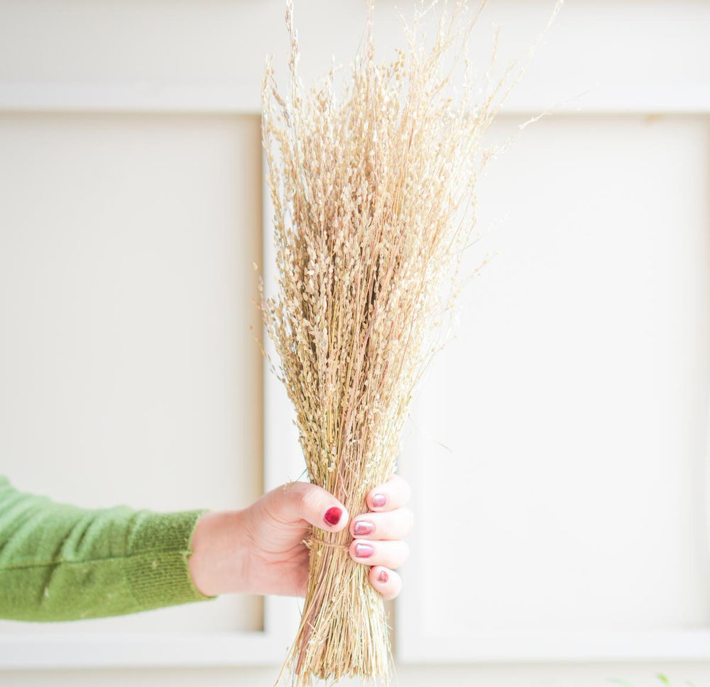 Star Grass Dried Flower Bunch | Aesthetic Natural Dried Flowers for Home Decor & Vase Styling – ArteCasa