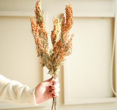 Dried Mimosa Flower Bunch for Home Décor