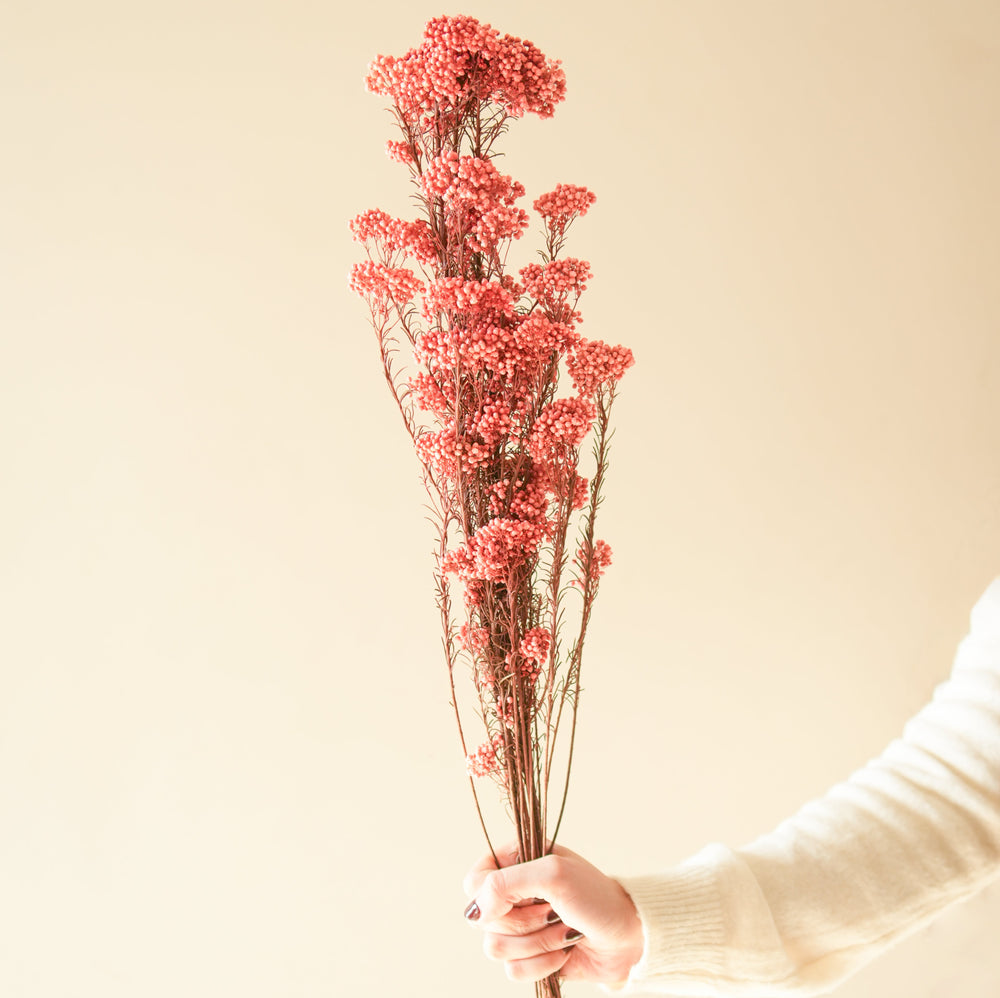 Dark Pink Rice Flower Dried Bunch | Aesthetic Natural Dried Flowers for Home Decor & Gifting – ArteCasa
