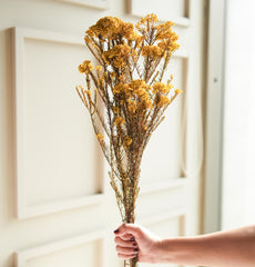 Yellow Rice Flower Dried Bunch | Natural Aesthetic Dried Flowers for Home Decor & Gifting – ArteCasa