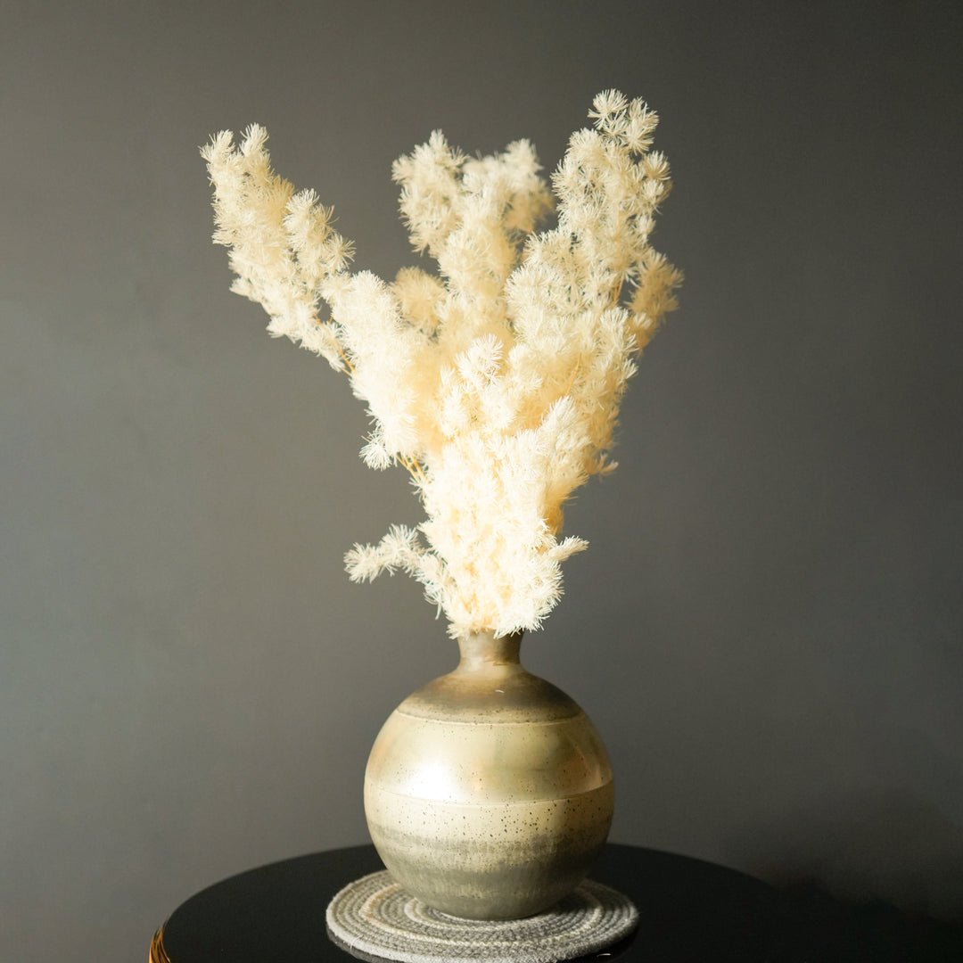 asparagus fern-white - https://artecasa.in/