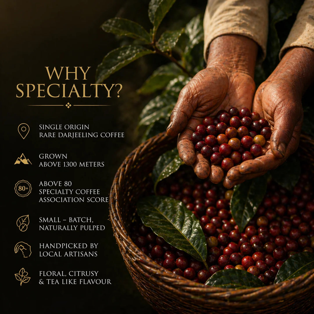 Saakya Himalayan Coffee | Darjeeling Special Espresso Blend | 250g
