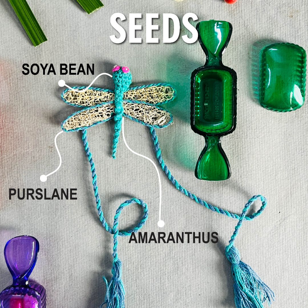 Shuddh Natural Dragonfly Plantable Rakhi