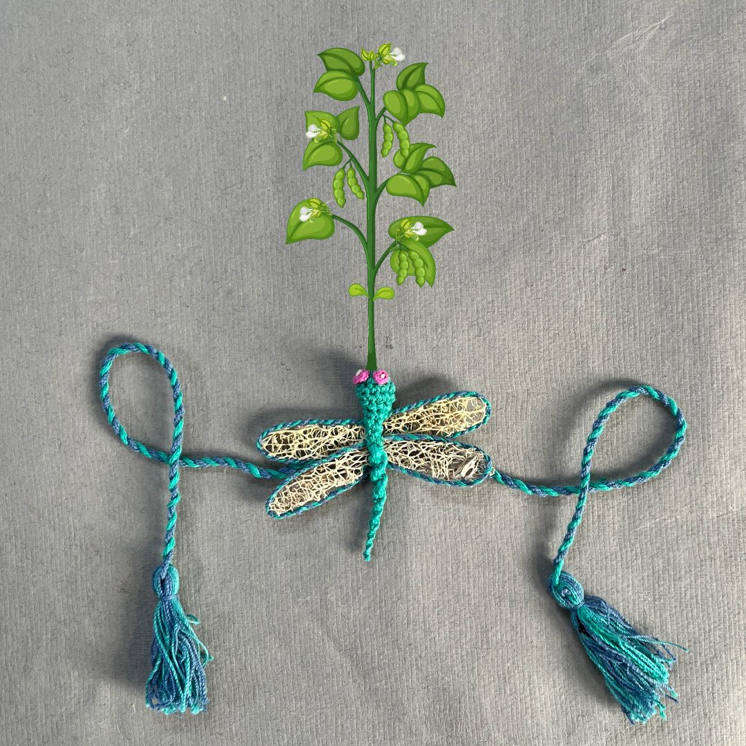 Shuddh Natural Dragonfly Plantable Rakhi