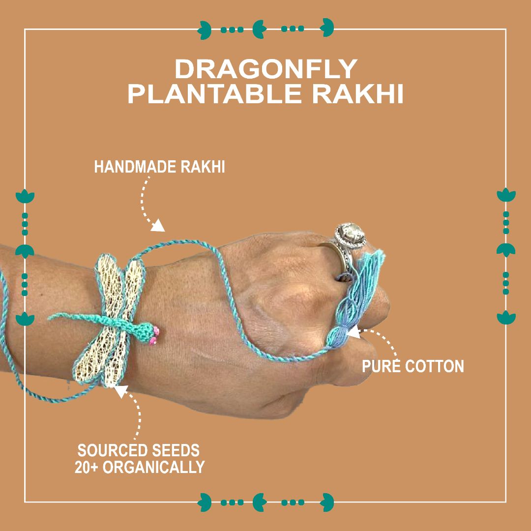 Shuddh Natural Dragonfly Plantable Rakhi