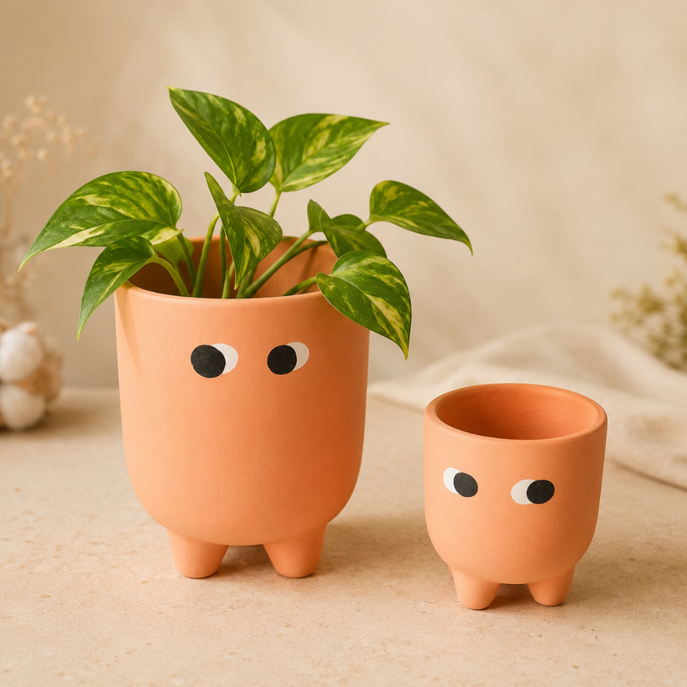 Amber Muse Face Planter Set of 2