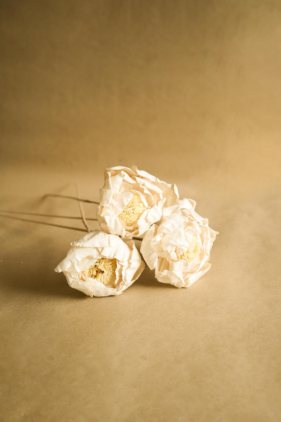 Cabbage Flower - https://artecasa.in/