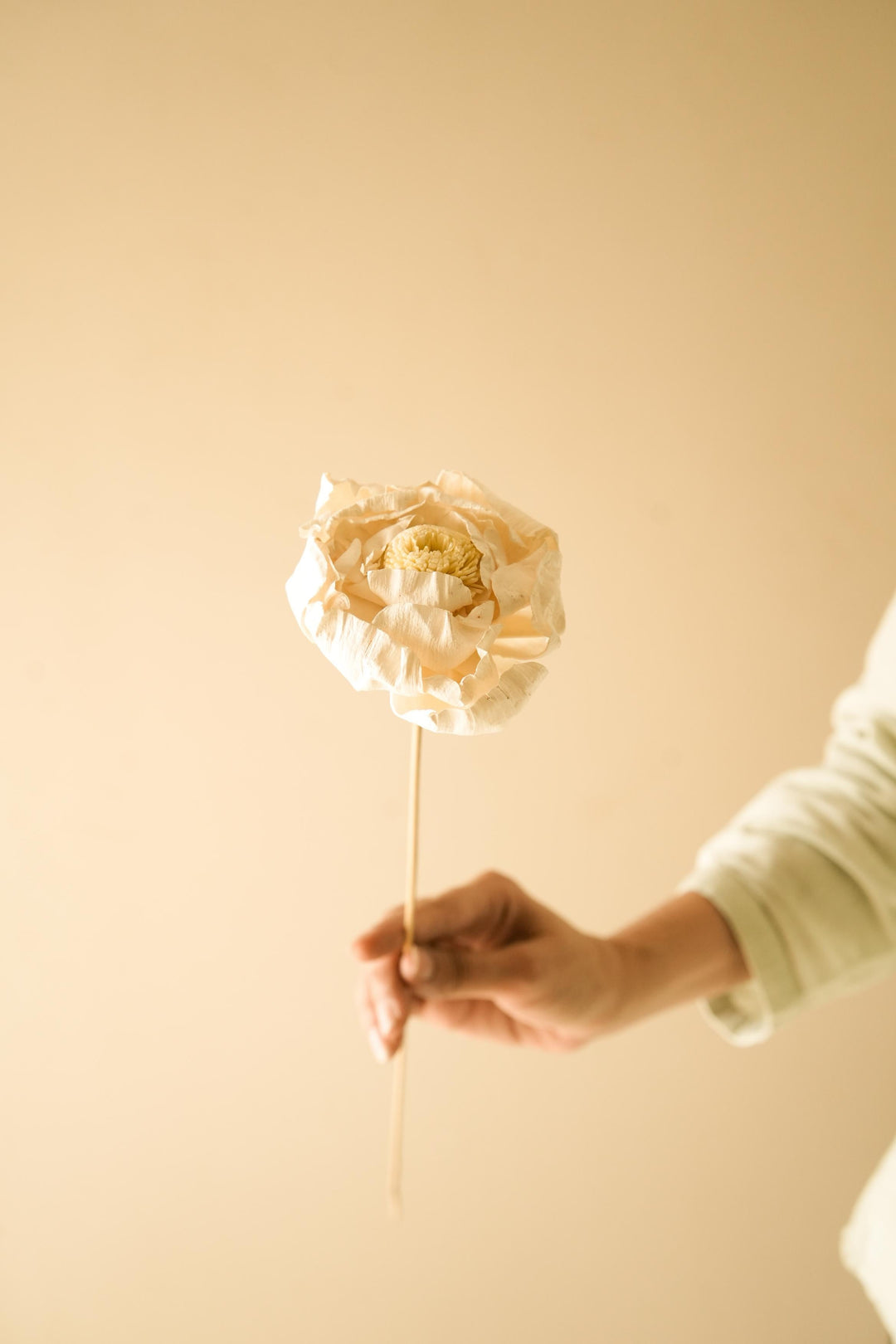 Cabbage Flower - https://artecasa.in/