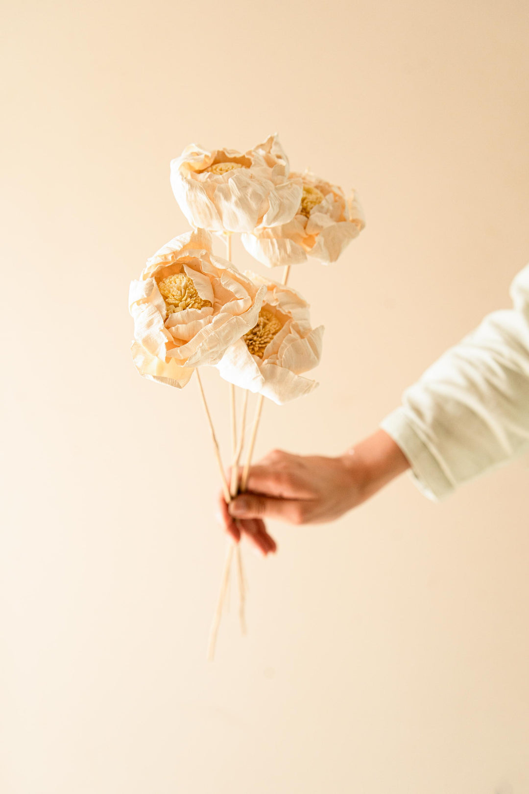 Cabbage Flower - https://artecasa.in/