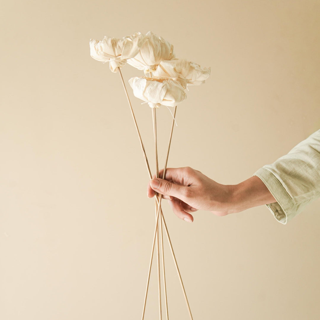 Cabbage Flower - https://artecasa.in/