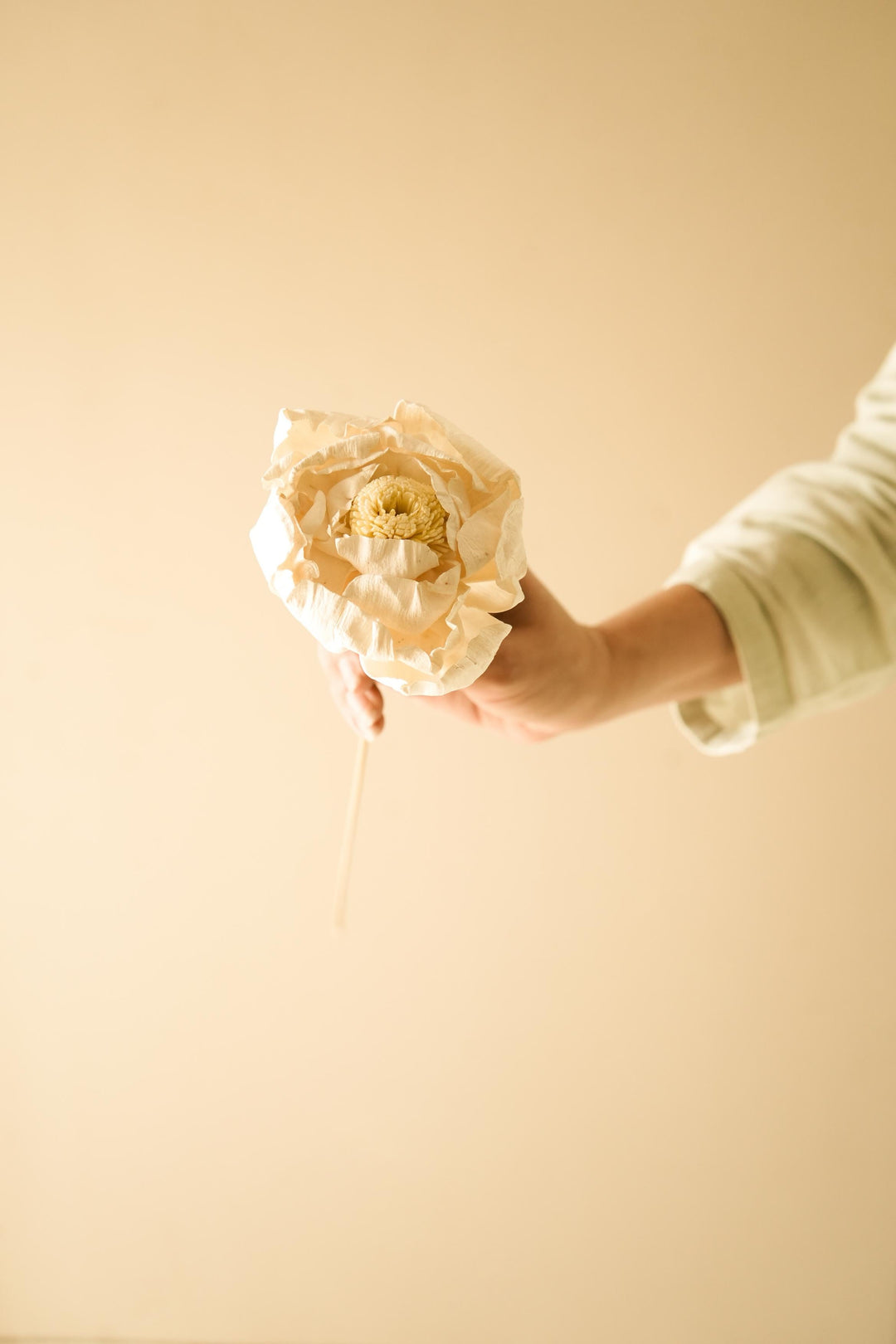 Cabbage Flower - https://artecasa.in/
