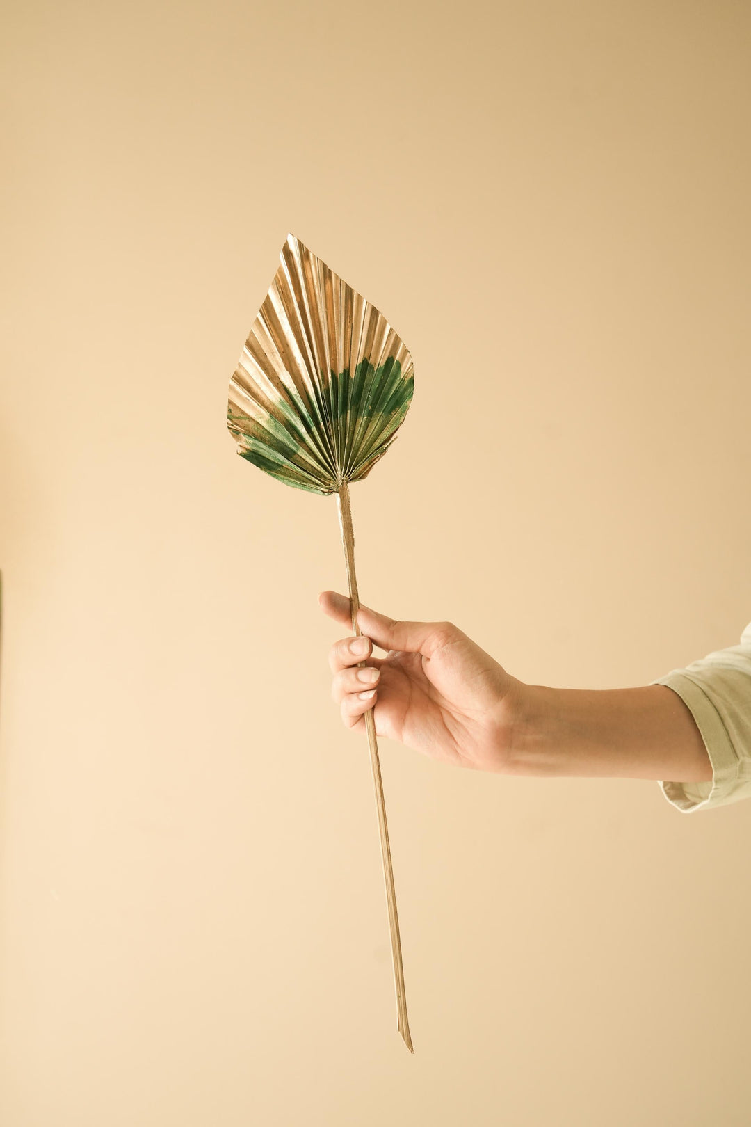 Golden Green Dual tone palm leaves - https://artecasa.in/