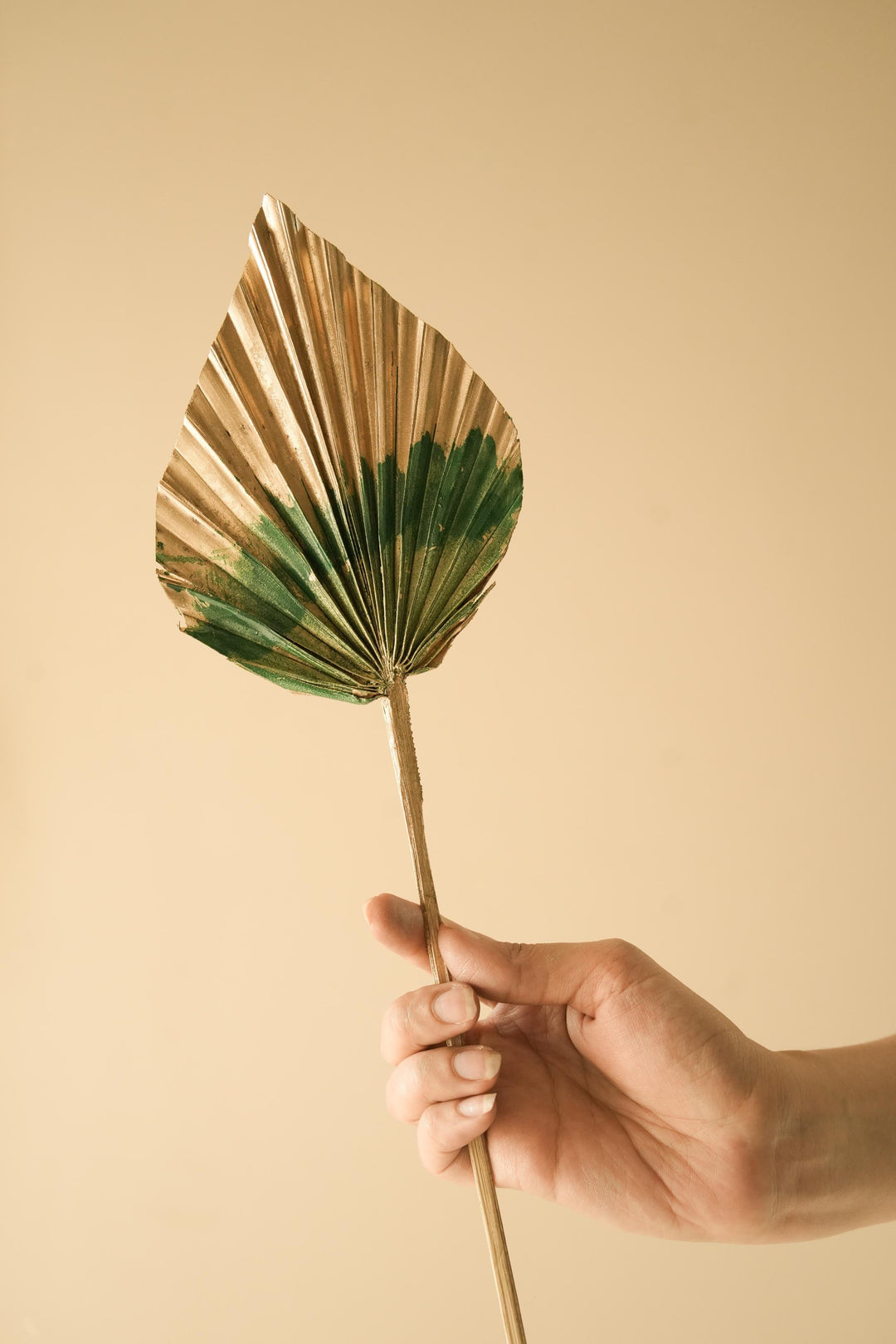 Golden Green Dual tone palm leaves - https://artecasa.in/