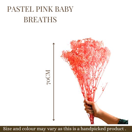 Pastel Pink baby breaths - https://artecasa.in/