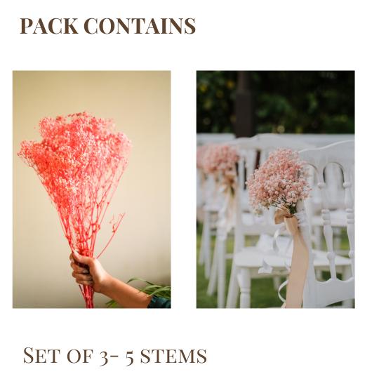 Pastel Pink baby breaths - https://artecasa.in/