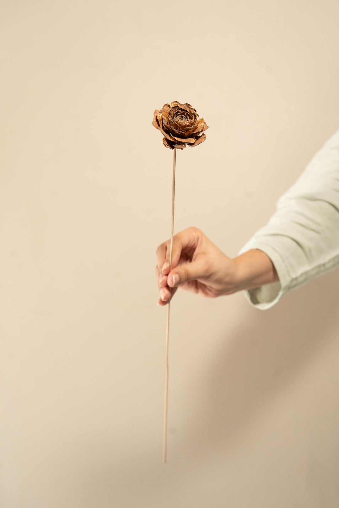 Handmade natural Cedar Roses - https://artecasa.in/
