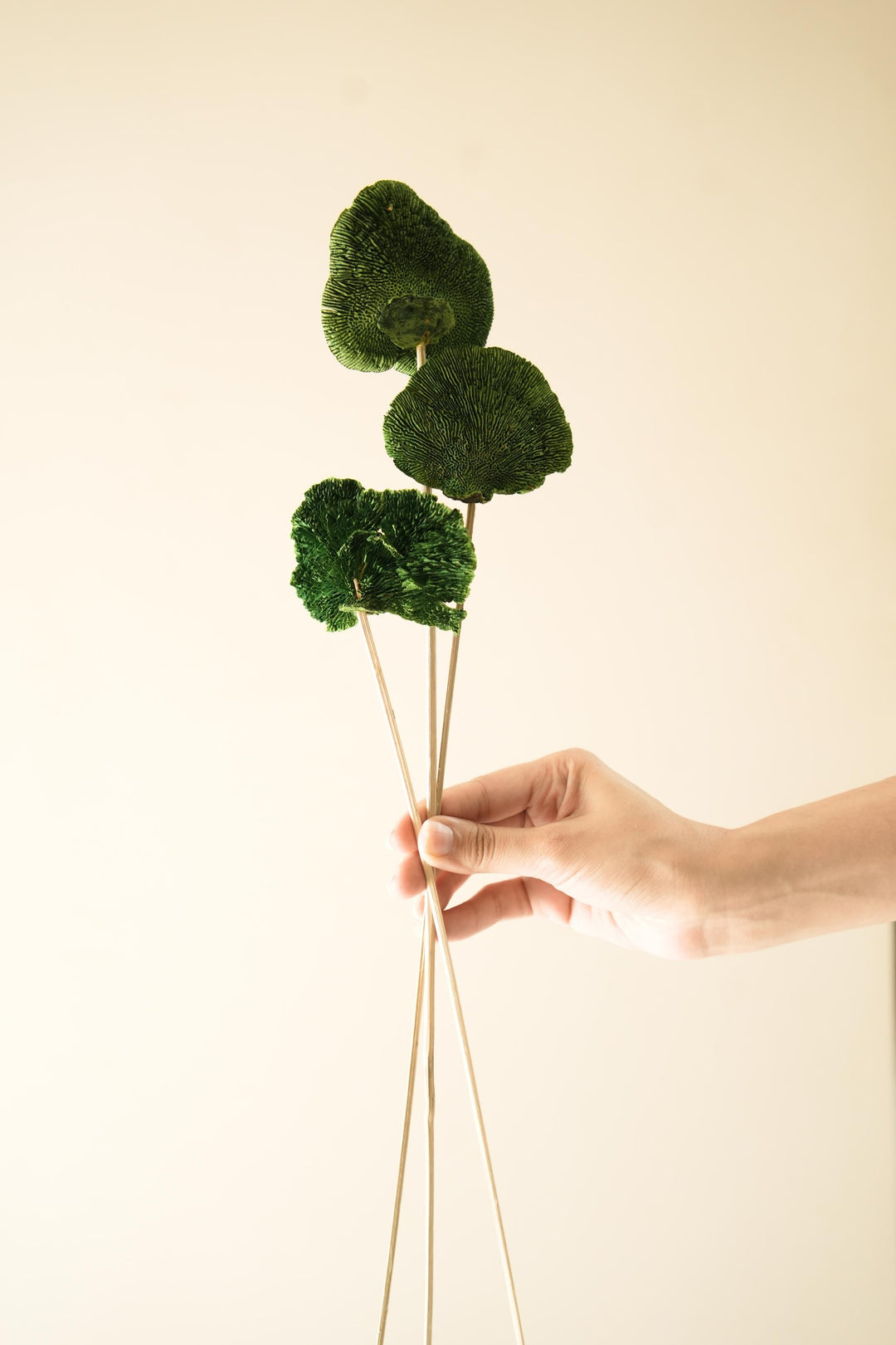 Green Sponge Mushroom - https://artecasa.in/