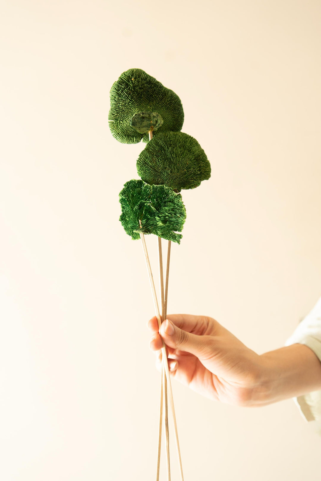 Green Sponge Mushroom - https://artecasa.in/