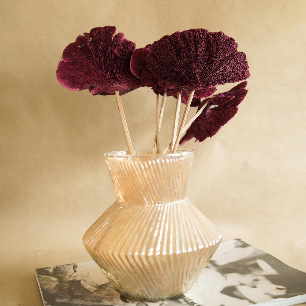 Red Sponge Mushroom Dried Flowers | Natural Long-Lasting Home Décor