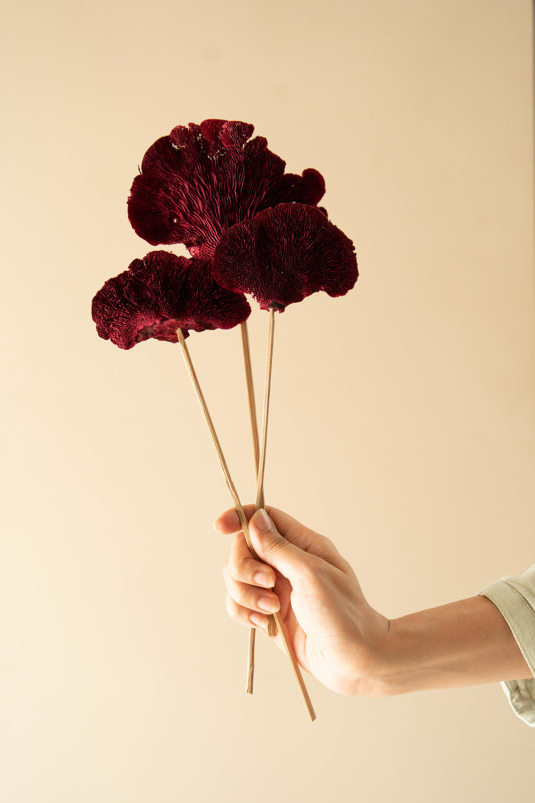 Red Sponge mushroom - https://artecasa.in/