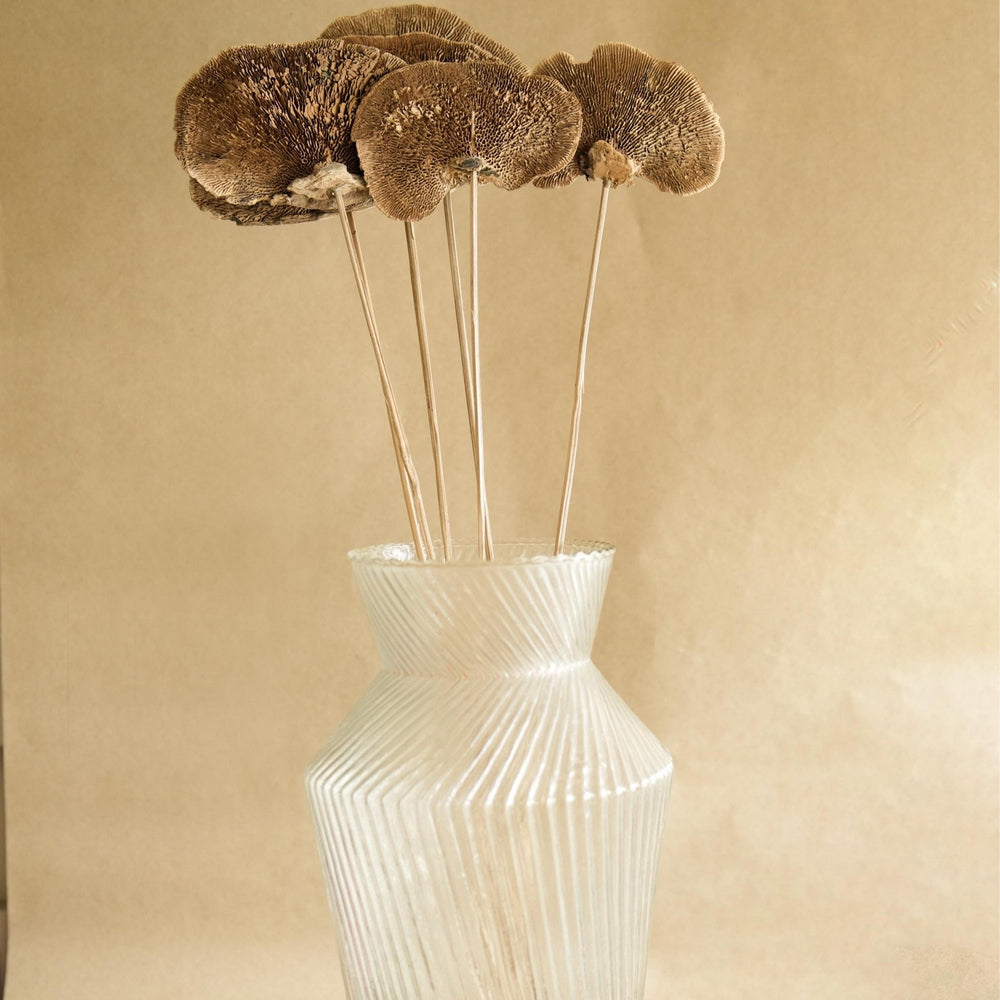 Natural Sponge Mushroom Dried Flower | Natural Home Décor