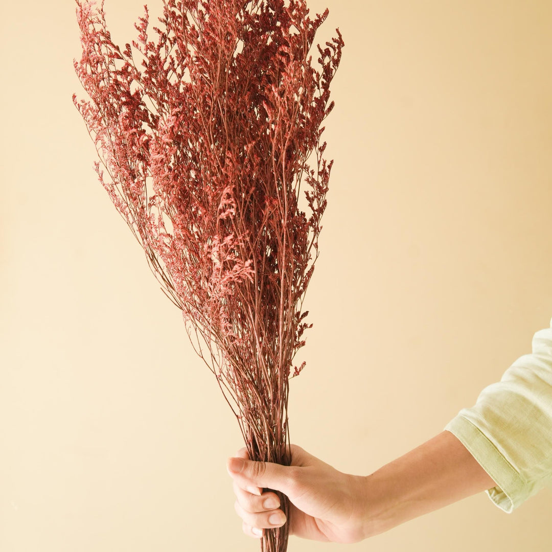 Red Limonium - https://artecasa.in/