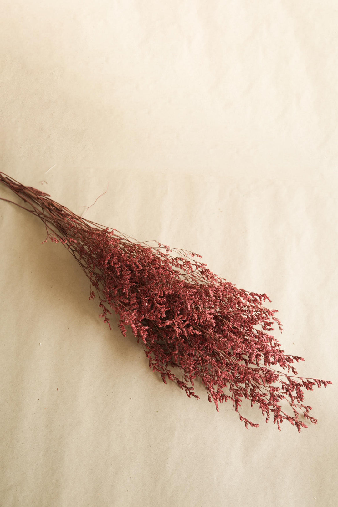 Red Limonium - https://artecasa.in/