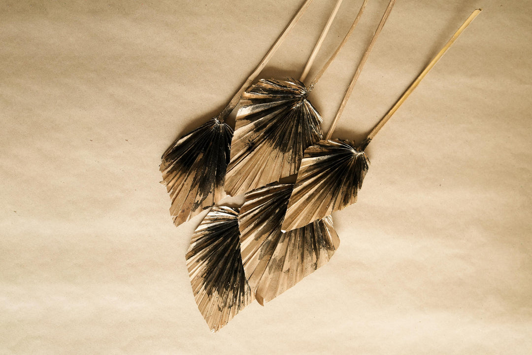Dual Colour Palm leaves - https://artecasa.in/